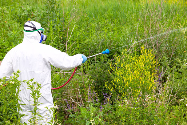 Pest control worker spraying insecticides or pesticides outdoor - Foto, Imagen