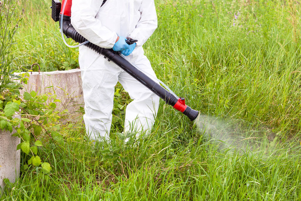 Pest control worker spraying insecticides or pesticides outdoor - Foto, Bild