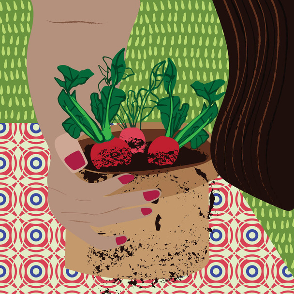 Home gardening illustration of radishes growing in a pot. Grow your own food in containers concept. Geometric pattern swatch included. - Vector, Image