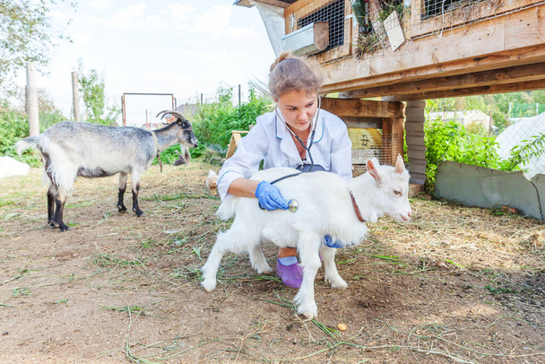 Mujer joven veterinario con estetoscopio sosteniendo y examinando cabrito de cabra en fondo rancho. Joven cabra con manos de veterinario para chequear en eco granja natural. Cuidado de los animales y concepto de agricultura ecológica - Foto, Imagen