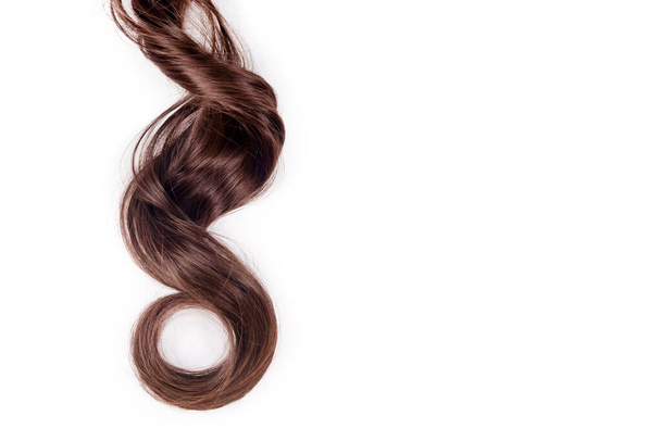 Kudrnaté hnědé vlasy izolované na bílém pozadí. Krásné zdravé dlouhé čokoládově hnědé vlasy zámek, účes, účes. Barvené vlasy nebo barvení, prodloužení vlasů, vyléčit, léčebný koncept - Fotografie, Obrázek
