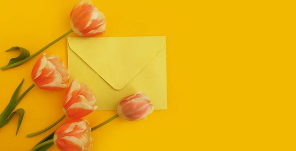envelop, bloem tulp op een gekleurde achtergrond - Foto, afbeelding