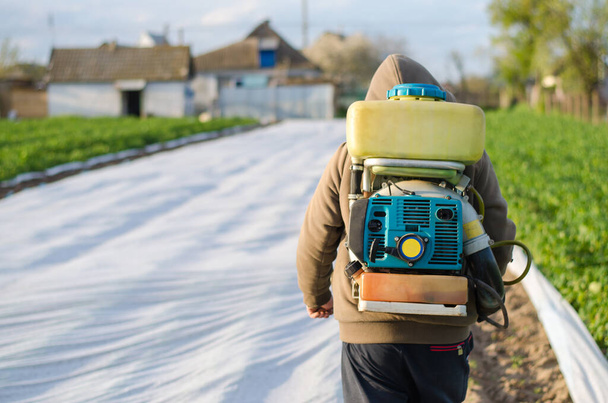 A farmer with a mist sprayer on his back walks through the farm field. Protection of cultivated plants from insects and fungal infections. The use of chemicals for crop protection in agriculture - Photo, image