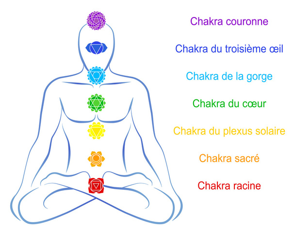 Beschrijving van de mens van het chakra's Frans - Vector, afbeelding