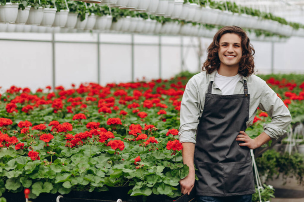 Szczęśliwy pracownik, ubrany w fartuch, uprawiający kwiaty w szklarni kwiaciarni - Zdjęcie, obraz