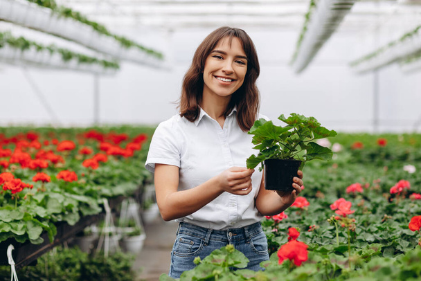 Inspired smiling young woman florist holding flowers of begonia in greenhouse. Female gardener working with plants - Photo, Image