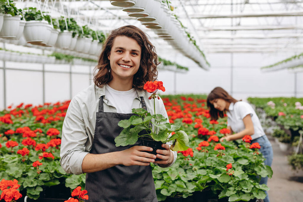Mutlu bahçıvanlardan oluşan bir ekip güneşli bir endüstriyel serada renkli çiçekler, bitki örtüsü ve bitkiler üzerinde çalışıyor, düzenliyor ve düzenliyor. - Fotoğraf, Görsel