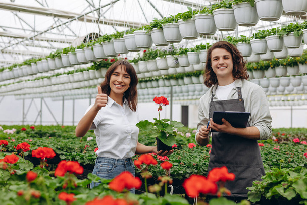 Couple of gardeners arranging pots with flowers in greenhouse - Photo, Image