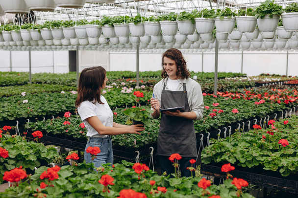 Пара садовников, держащих планшеты с цветами в теплице - Фото, изображение