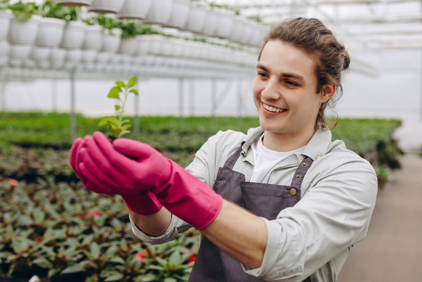 Attractive young man transplanting young plant in greenhouse. Working florist - Photo, Image