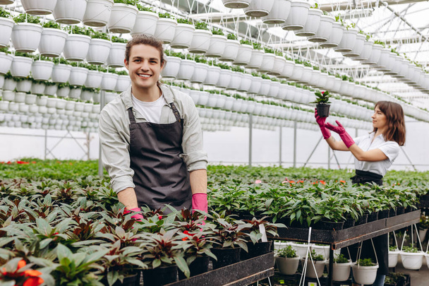 Group of florists arranging pots with flowers in greenhouse - Foto, Imagem