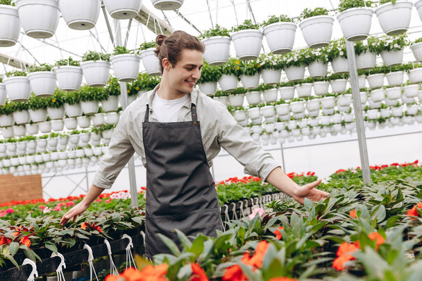 Atrakcyjny mężczyzna kwiaciarnia, noszenie fartucha i pracy w centrum ogrodu, sprzedaż doniczek - Zdjęcie, obraz
