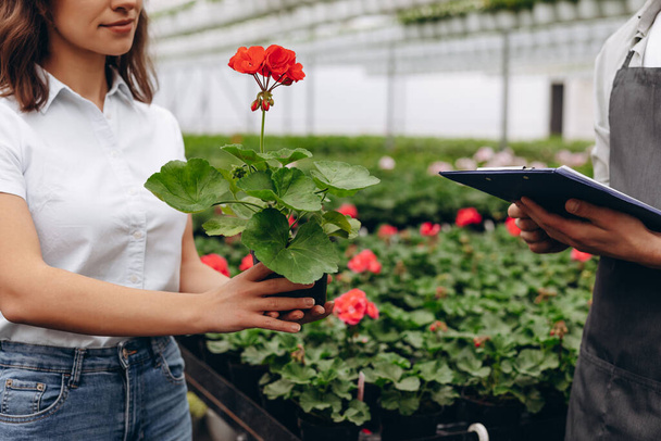 Пара садовников, держащих планшеты с цветами в теплице - Фото, изображение