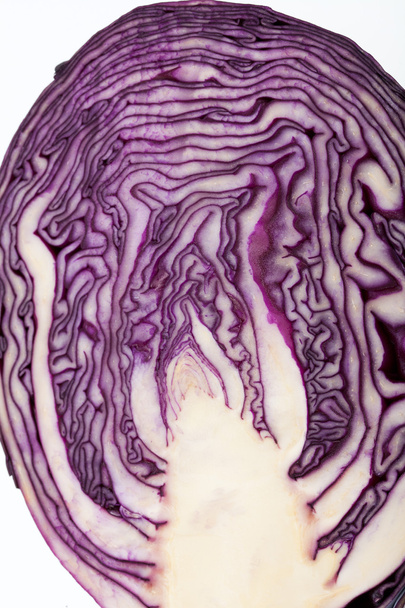 Red Cabbage cross section on White Background - Photo, Image