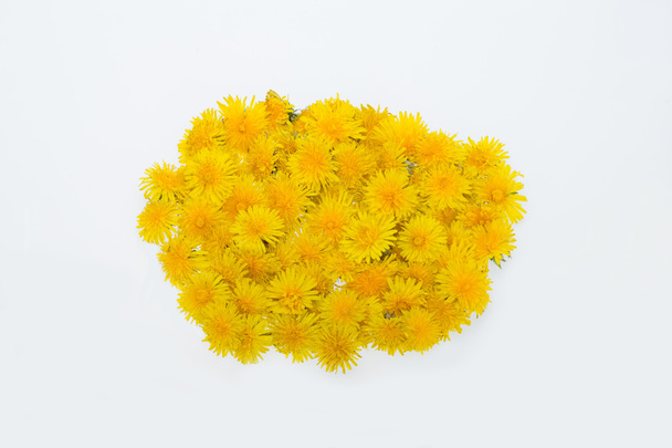 Beautiful yellow flowers of Dandelion - Foto, afbeelding