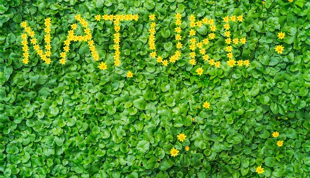 Зелена галявина з написом природа з квітів
 - Фото, зображення