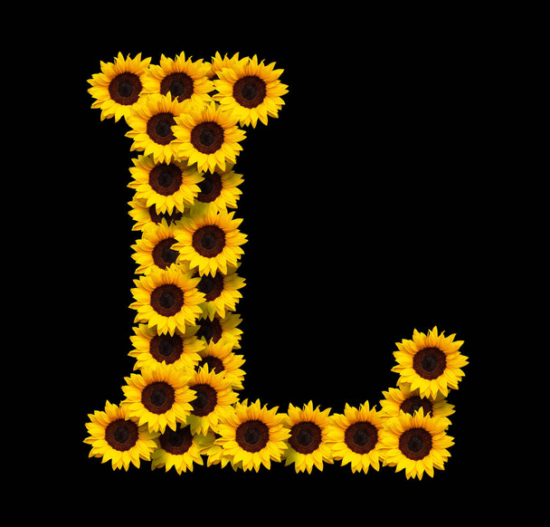 Capital letter L made of yellow sunflowers flowers isolated on black background. Design element for love concepts designs. Ideal for mothers day and spring themes - Photo, Image