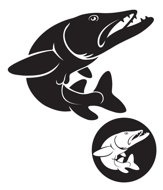The figure shows a fish pike - Vector, Image