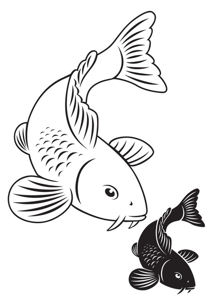 το σχήμα δείχνει ένα ψάρι κυπρίνος koi - Διάνυσμα, εικόνα