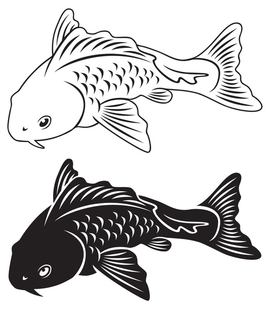 obrázek ukazuje ryby kapr koi - Vektor, obrázek