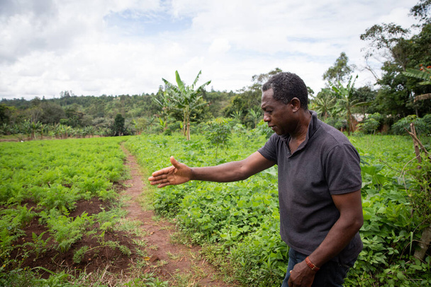Afrikai farmer a répaföldjén - Fotó, kép