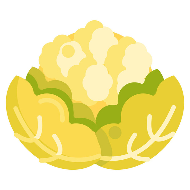 kool bloemkool groenten pictogram in platte stijl - Vector, afbeelding