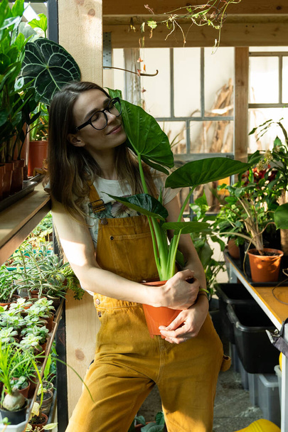 Цветочница в саду держит горшок с растением. Удовлетворенный садовник наслаждается уходом за комнатными растениями - Фото, изображение