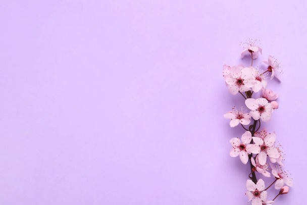 Blossoming spring tree branch on lilac background, flat lay. Space for text - Fotografie, Obrázek