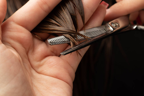Cortar las puntas del cabello con tijeras especiales en un salón de peluquería. Peluquería, tijeras, pelo, herramienta, cuidado, mojado, manos del maestro - Foto, imagen