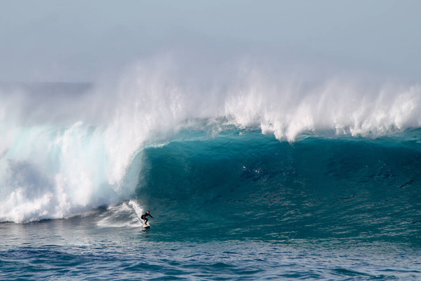 SYDNE, AUSTRALIA - May 25, 2016: Australian surfer descending a giant wave at Coogee beach between the beaches of Bondi and Maroubra south of Sydney Australia - Фото, изображение