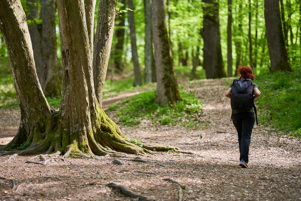 Active caucasian woman with backpack hiking into the forest - Foto, Bild