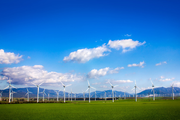 Tuulimyllyjä vihreällä niityllä. Espanja
 - Valokuva, kuva