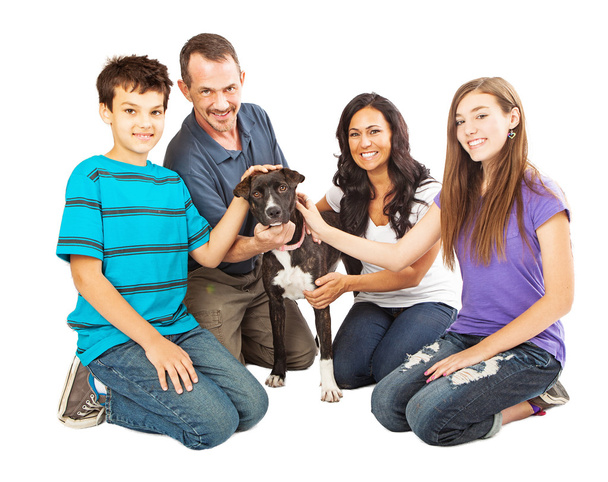 šťastná rodina s záchranných psů - Fotografie, Obrázek