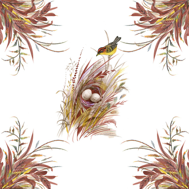 Bird and nest - Foto, imagen