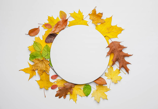 Blanco kaart en herfstbladeren op witte achtergrond - Foto, afbeelding