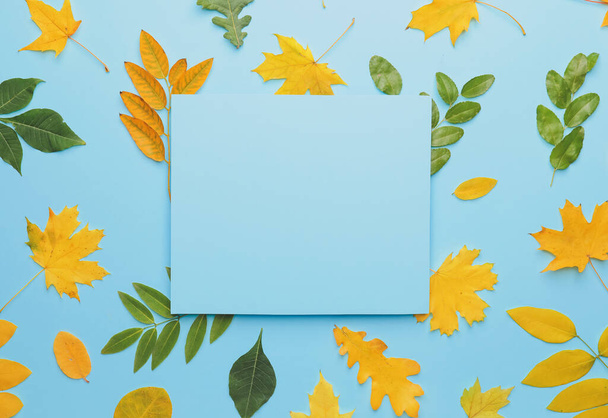 Blank card and autumn leaves on color background - Foto, imagen