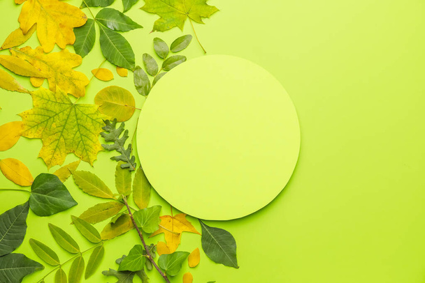 Чистые карточки и осенние листья на цветном фоне - Фото, изображение