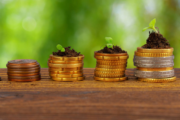 Coins stack of money and growing plant, financial concept - Photo, Image
