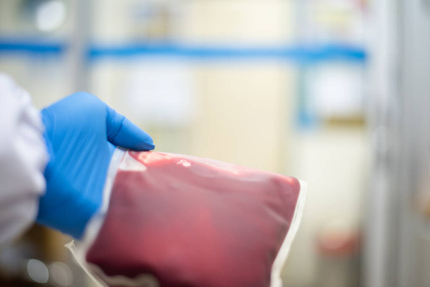 Close up Blood bag in blood bank laboratory. - Photo, Image