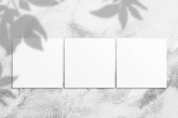 Composición de hojas vacías de acuarela cuadrada blanca de papel y sombra de hojas sobre un fondo de hormigón gris claro. Tablero publicitario, maqueta en la pared. Plano, vista superior, espacio para copiar - Foto, Imagen
