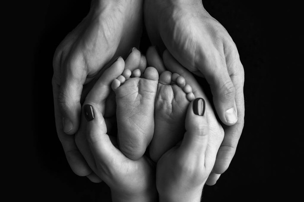 Los pies de los niños en las manos de la madre y el padre. Madre, padre e hijo recién nacido. Concepto de familia feliz. Blanco y negro. - Foto, Imagen