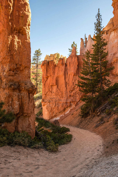 A gorgeous view of the landscape in Bryce Canyon National Park, Utah - Photo, Image