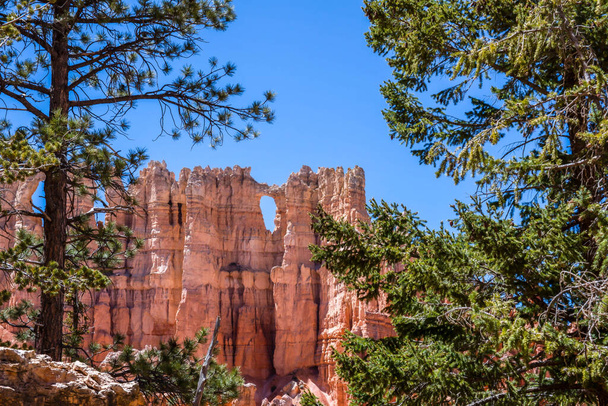 Eine natürliche Felsformation aus Red Rocks Hoodoos im Bryce Canyon National Park, Utah - Foto, Bild