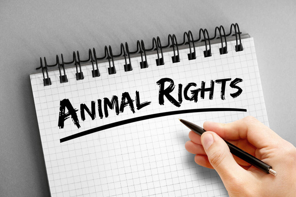 Text práv zvířat na poznámkovém bloku, koncept pozadí - Fotografie, Obrázek