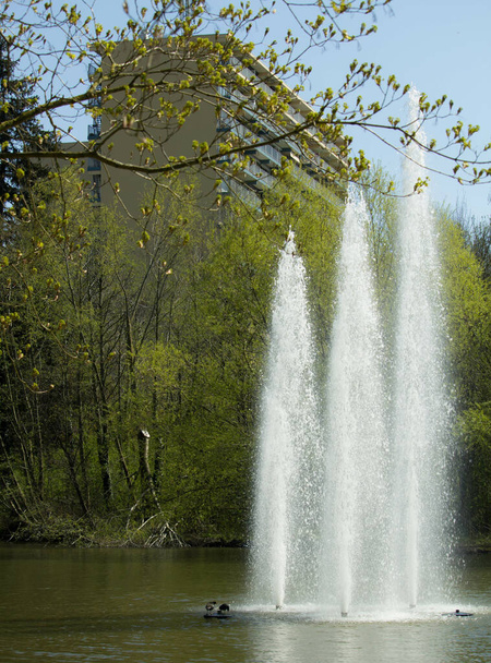 A vertical shot of a water fountain in a lake in front of a tall building - Foto, Imagem