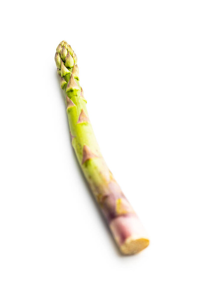 Fresh raw uncooked green asparagus isolated on white background. - 写真・画像