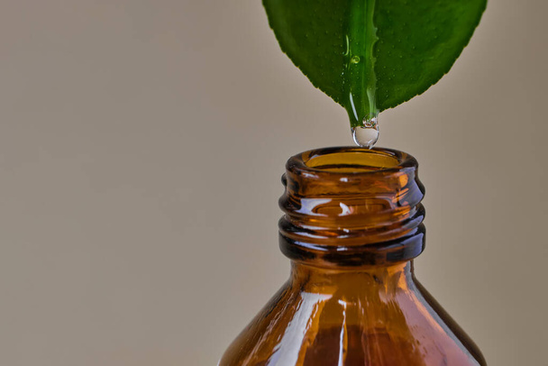 close up of essential oil dripping from fresh natural green leaf into brown glass bottle on beige background with copy space - Photo, Image