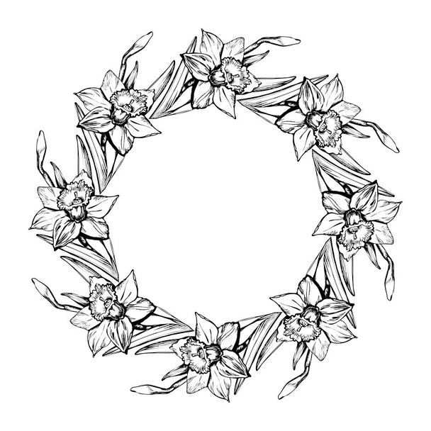 Vector floral round wreath with outline flowers narcissus drawn by hand.  - Vector, imagen