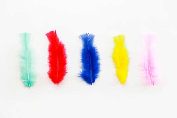 colorful soft fluffy bird feathers - Foto, Imagen