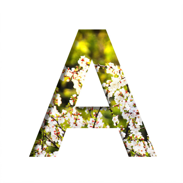 Spring sunny font. The letter A cut out of paper on the background of blooming cherry on a sunny spring day. Set of decorative natural fonts. - Fotoğraf, Görsel